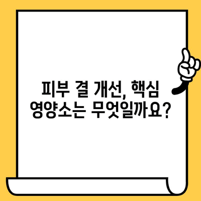 피부 건강 영양제로 결 관리에 효과적인 제품 추천 | 피부 결 개선, 콜라겐, 탄력, 영양제