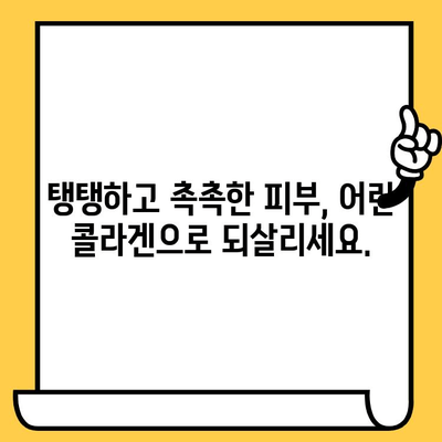 어린 콜라겐| 피부 건강을 위한 최상의 선택 | 탱탱하고 촉촉한 피부, 어린 콜라겐으로 되찾기