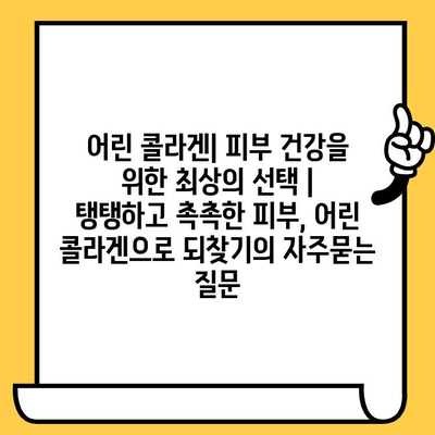 어린 콜라겐| 피부 건강을 위한 최상의 선택 | 탱탱하고 촉촉한 피부, 어린 콜라겐으로 되찾기