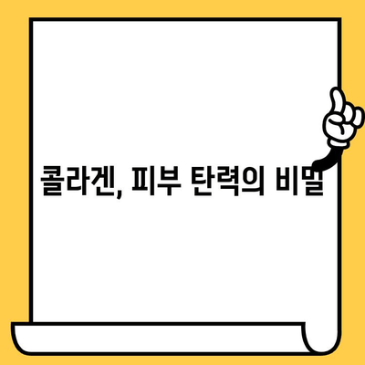 먹는 콜라겐, 피부 건강 개선을 위한 효과적인 활용법 | 콜라겐 효능, 피부 탄력, 섭취 방법, 추천 제품