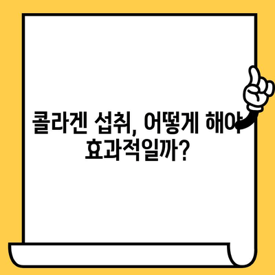 먹는 콜라겐, 피부 건강 개선을 위한 효과적인 활용법 | 콜라겐 효능, 피부 탄력, 섭취 방법, 추천 제품