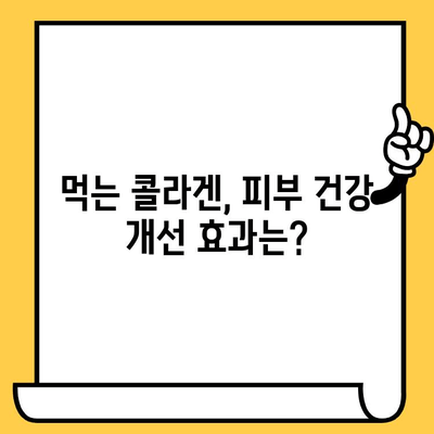 먹는 콜라겐, 피부 건강 개선을 위한 효과적인 활용법 | 콜라겐 효능, 피부 탄력, 섭취 방법, 추천 제품