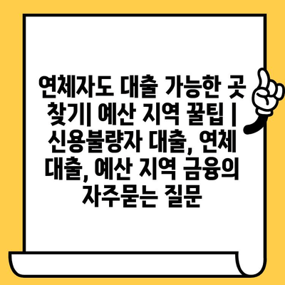 연체자도 대출 가능한 곳 찾기| 예산 지역 꿀팁 | 신용불량자 대출, 연체 대출, 예산 지역 금융