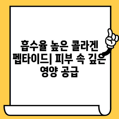 피부 건강의 영웅| 저분자 콜라겐 펩타이드의 힘 | 콜라겐 펩타이드, 피부 탄력, 주름 개선, 흡수율