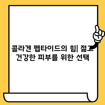 피부 건강의 영웅| 저분자 콜라겐 펩타이드의 힘 | 콜라겐 펩타이드, 피부 탄력, 주름 개선, 흡수율