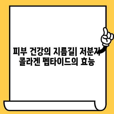 피부 건강의 영웅| 저분자 콜라겐 펩타이드의 힘 | 콜라겐 펩타이드, 피부 탄력, 주름 개선, 흡수율