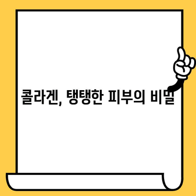 어린 콜라겐이 피부에 미치는 놀라운 효과| 탱탱하고 건강한 피부를 위한 솔루션 | 콜라겐, 피부 건강, 탄력, 주름, 미용