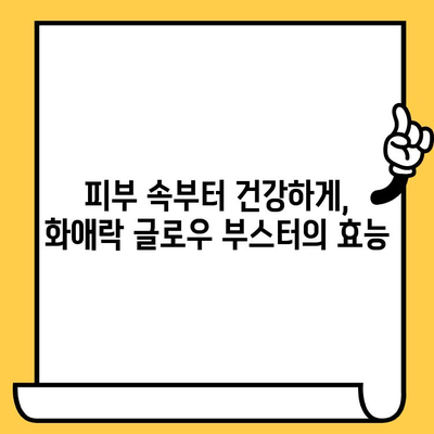 화애락 글로우 부스터로 피부 건강과 몸 건강을 동시에 잡는 비결 | 피부 관리, 건강 관리, 화애락, 뷰티 팁