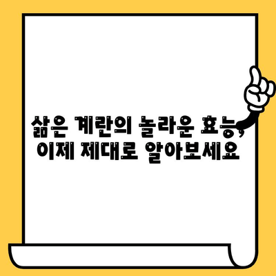 삶은 계란의 효능, 칼로리, 유통기한 완벽 정리 | 건강, 영양, 식단 관리