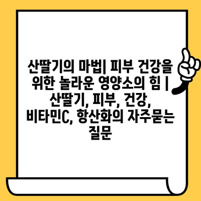 산딸기의 마법| 피부 건강을 위한 놀라운 영양소의 힘 | 산딸기, 피부, 건강, 비타민C, 항산화