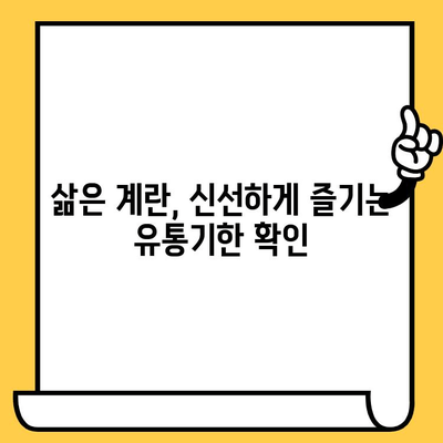 삶은 계란의 효능, 칼로리, 유통기한 완벽 정리 | 건강, 영양, 식단 관리