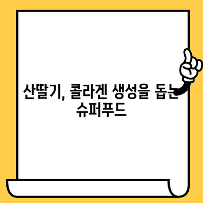 산딸기의 놀라운 효능| 피부 건강 지키는 비밀 | 산딸기, 피부 미용, 항산화, 비타민C, 콜라겐