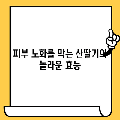 산딸기의 놀라운 효능| 피부 건강 지키는 비밀 | 산딸기, 피부 미용, 항산화, 비타민C, 콜라겐