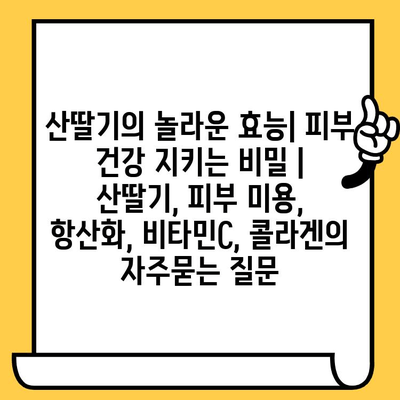 산딸기의 놀라운 효능| 피부 건강 지키는 비밀 | 산딸기, 피부 미용, 항산화, 비타민C, 콜라겐