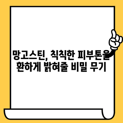 망고스틴의 놀라운 피부 효능| 맑고 건강한 피부를 위한 비밀 | 망고스틴 효능, 피부 미용, 항산화, 콜라겐