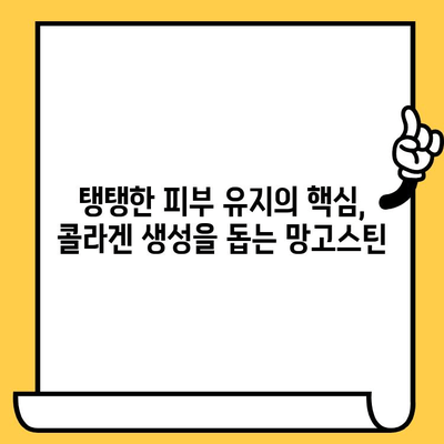 망고스틴의 놀라운 피부 효능| 맑고 건강한 피부를 위한 비밀 | 망고스틴 효능, 피부 미용, 항산화, 콜라겐