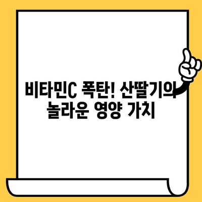 산딸기의 놀라운 효능| 피부 건강 개선 효과와 풍부한 영양소 | 뷰티, 건강 식품, 항산화