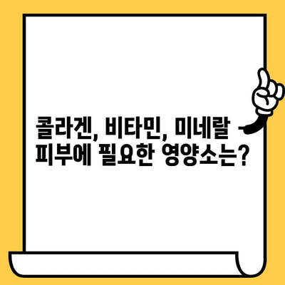 결 관리의 숨은 보석| 피부 건강 영양제 | 피부 건강, 콜라겐, 비타민, 미네랄, 영양제 추천