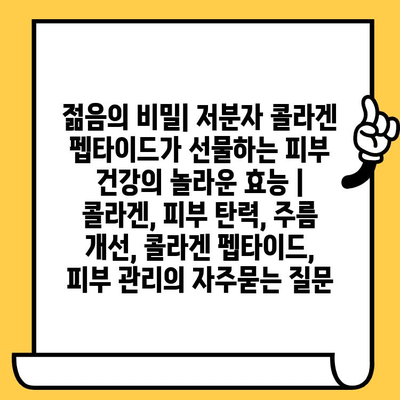 젊음의 비밀| 저분자 콜라겐 펩타이드가 선물하는 피부 건강의 놀라운 효능 | 콜라겐, 피부 탄력, 주름 개선, 콜라겐 펩타이드, 피부 관리