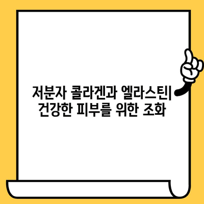 저분자 콜라겐과 엘라스틴| 건강한 피부를 위한 조화 | 피부 탄력, 주름 개선, 콜라겐 보충, 엘라스틴 관리