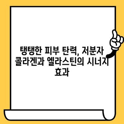 저분자 콜라겐과 엘라스틴| 건강한 피부를 위한 조화 | 피부 탄력, 주름 개선, 콜라겐 보충, 엘라스틴 관리