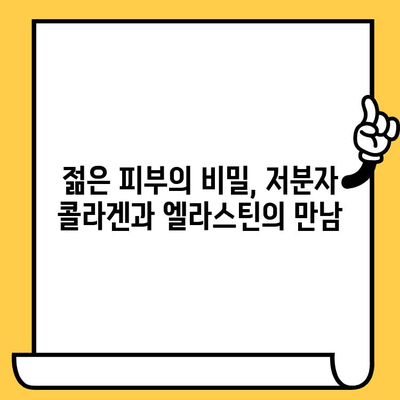 저분자 콜라겐과 엘라스틴| 건강한 피부를 위한 조화 | 피부 탄력, 주름 개선, 콜라겐 보충, 엘라스틴 관리