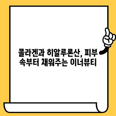 피부 건강을 위한 이너뷰티 기능식품| 간편하게 피부 관리 | 이너뷰티, 피부 관리, 기능성 식품, 건강 식품, 콜라겐, 히알루론산