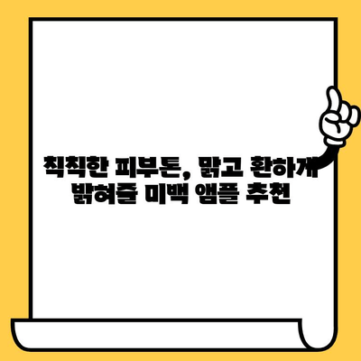 피부 건강을 위한 최고의 선택! 항산화 앰플 추천 가이드 | 피부 노화, 탄력, 주름, 미백, 앰플 추천, 비교 분석