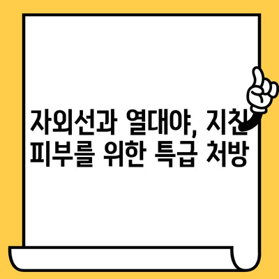 여름철 피부 건강 지키는 10가지 식품 | 건강, 피부 관리, 여름, 햇볕, 열대야, 수분