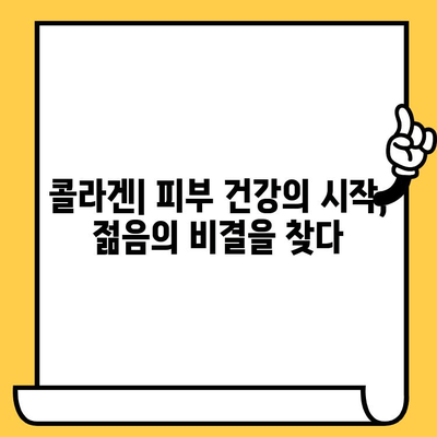 젊은 피부를 위한 선택! 어린 콜라겐이 선사하는 놀라운 피부 건강의 비밀 | 콜라겐, 피부 탄력, 주름 개선, 안티에이징