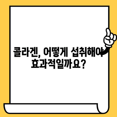 똑똑한 콜라겐 섭취로 피부 건강 개선하기| 콜라겐 종류, 효능, 섭취 방법 총정리 | 피부 탄력, 주름 개선, 콜라겐 보충, 건강 식품