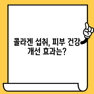 똑똑한 콜라겐 섭취로 피부 건강 개선하기| 콜라겐 종류, 효능, 섭취 방법 총정리 | 피부 탄력, 주름 개선, 콜라겐 보충, 건강 식품