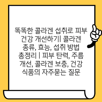 똑똑한 콜라겐 섭취로 피부 건강 개선하기| 콜라겐 종류, 효능, 섭취 방법 총정리 | 피부 탄력, 주름 개선, 콜라겐 보충, 건강 식품