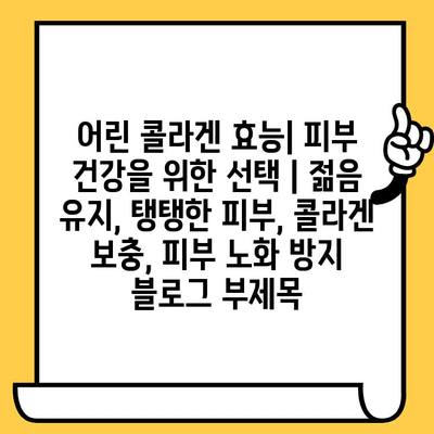 어린 콜라겐 효능| 피부 건강을 위한 선택 | 젊음 유지, 탱탱한 피부, 콜라겐 보충, 피부 노화 방지