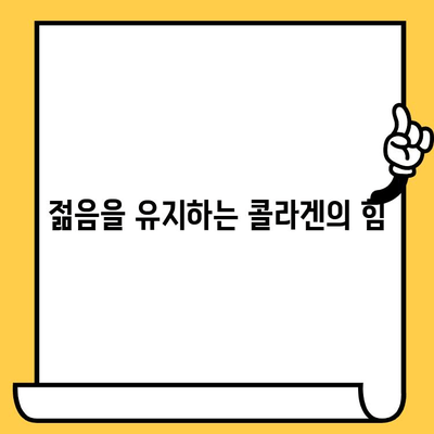 어린 콜라겐 효능| 피부 건강을 위한 선택 | 젊음 유지, 탱탱한 피부, 콜라겐 보충, 피부 노화 방지