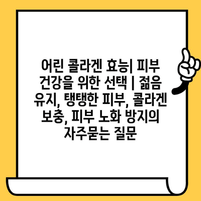 어린 콜라겐 효능| 피부 건강을 위한 선택 | 젊음 유지, 탱탱한 피부, 콜라겐 보충, 피부 노화 방지