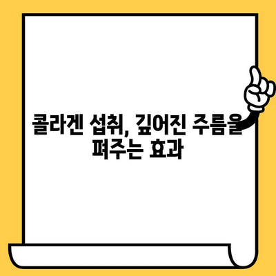 저분자 콜라겐 펩타이드| 피부 건강 개선을 위한 5가지 활용법 | 콜라겐 섭취, 탄력, 주름, 보습, 피부 관리