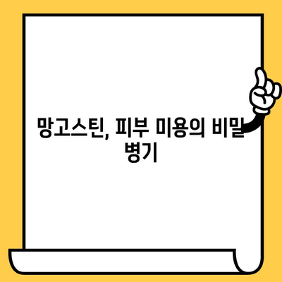 망고스틴의 피부 미용 효과| 숨겨진 비밀 성분과 놀라운 효능 | 망고스틴, 피부 건강, 항산화, 미백, 콜라겐