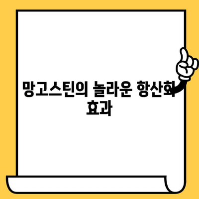 망고스틴의 피부 미용 효과| 숨겨진 비밀 성분과 놀라운 효능 | 망고스틴, 피부 건강, 항산화, 미백, 콜라겐