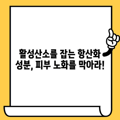 피부 건강 기능식품으로 항산화 효과 높이는 5가지 방법 | 피부 노화 방지, 콜라겐 생성, 기능성 원료