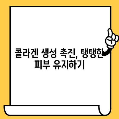 피부 건강 기능식품으로 항산화 효과 높이는 5가지 방법 | 피부 노화 방지, 콜라겐 생성, 기능성 원료