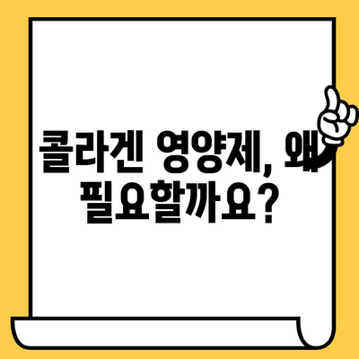 콜라겐 추천 영양제| 피부 건강 지키는 똑똑한 선택 | 콜라겐 효능, 부작용, 추천 제품 비교