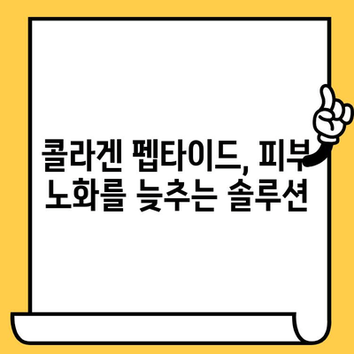 저분자 콜라겐 펩타이드가 선사하는 피부 건강의 비밀| 탄력, 수분, 주름 개선 효과 | 콜라겐 펩타이드, 피부 관리, 뷰티 팁