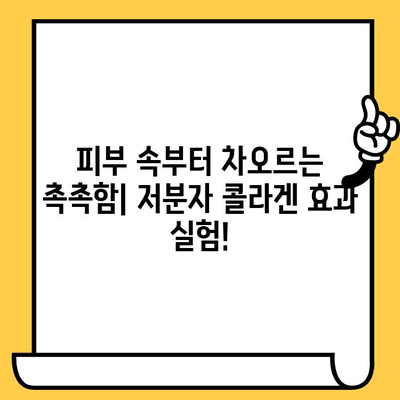 저분자 콜라겐 후기| 피부 건강 관리 노하우 | 솔직한 사용 후기, 효과 및 추천 제품