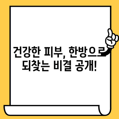 창원 피부과 추천! 한방 요법으로 되찾는 건강한 피부 | 피부 트러블, 잡티, 건조함 해결 솔루션