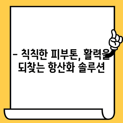 뷰티 항산화 앰플 & 피부 건강 기능식품 추천 | 맑고 건강한 피부를 위한 선택 가이드