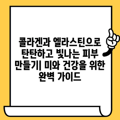 콜라겐과 엘라스틴으로 탄탄하고 빛나는 피부 만들기| 미와 건강을 위한 완벽 가이드 | 피부 탄력, 주름 개선, 피부 관리, 콜라겐 섭취, 엘라스틴