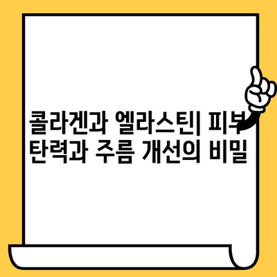 콜라겐과 엘라스틴으로 탄탄하고 빛나는 피부 만들기| 미와 건강을 위한 완벽 가이드 | 피부 탄력, 주름 개선, 피부 관리, 콜라겐 섭취, 엘라스틴