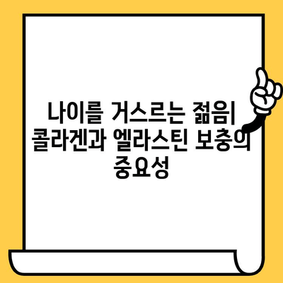 콜라겐과 엘라스틴으로 탄탄하고 빛나는 피부 만들기| 미와 건강을 위한 완벽 가이드 | 피부 탄력, 주름 개선, 피부 관리, 콜라겐 섭취, 엘라스틴