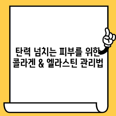 콜라겐과 엘라스틴으로 탄탄하고 빛나는 피부 만들기| 미와 건강을 위한 완벽 가이드 | 피부 탄력, 주름 개선, 피부 관리, 콜라겐 섭취, 엘라스틴